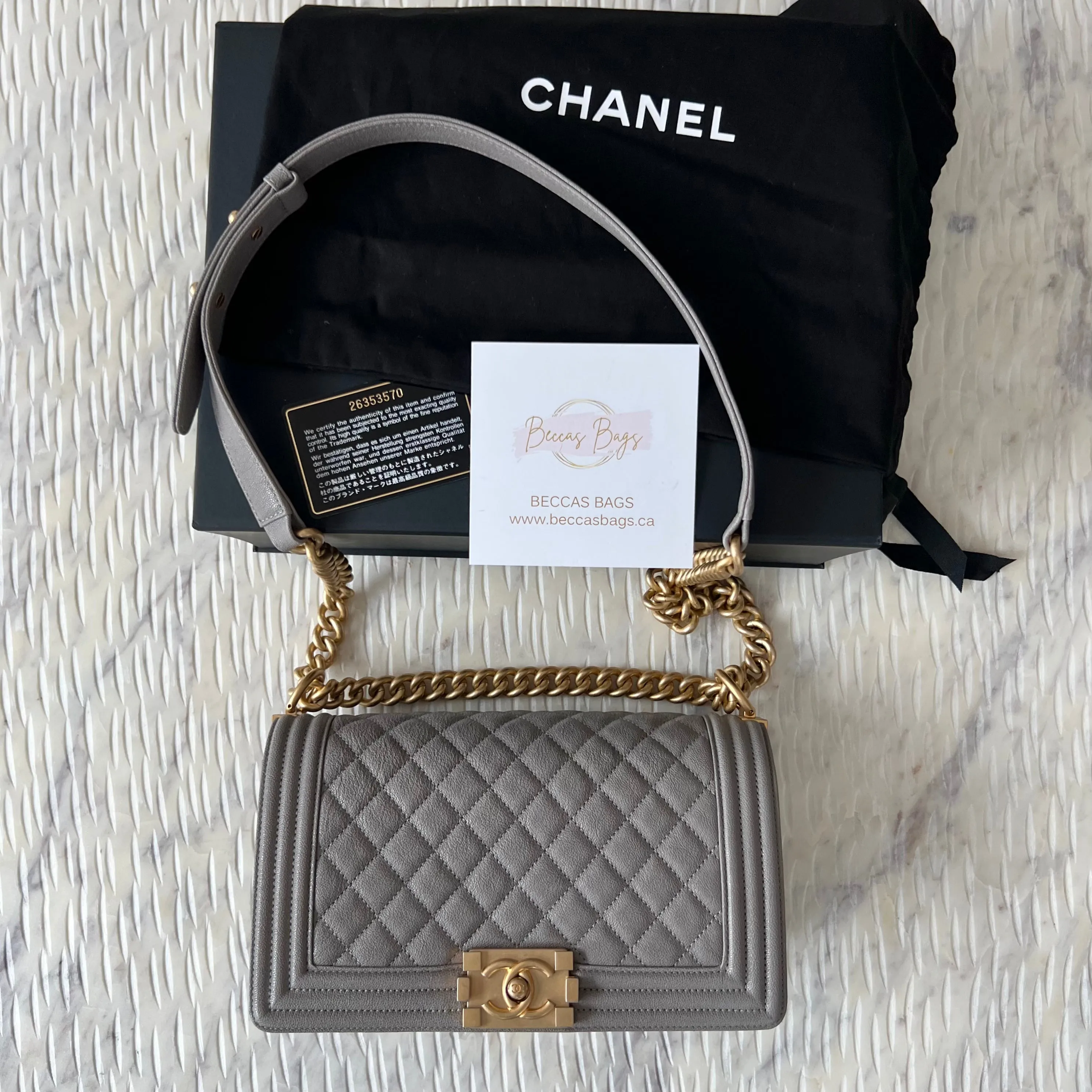 Chanel Le Boy Bag